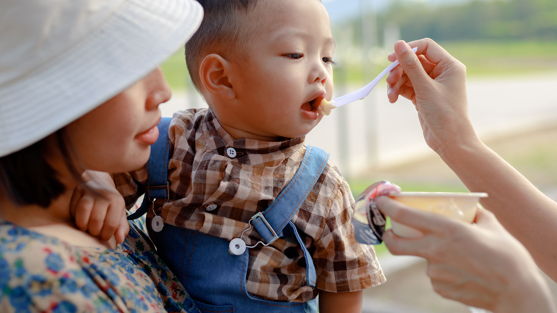 Traveling with your Nanny