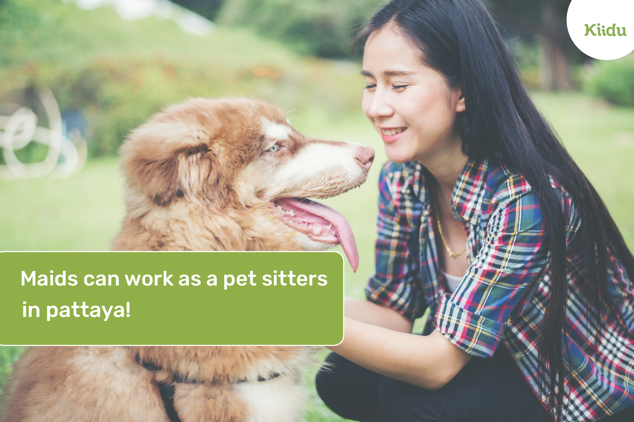 Maids can work as a pet sitters in pattaya