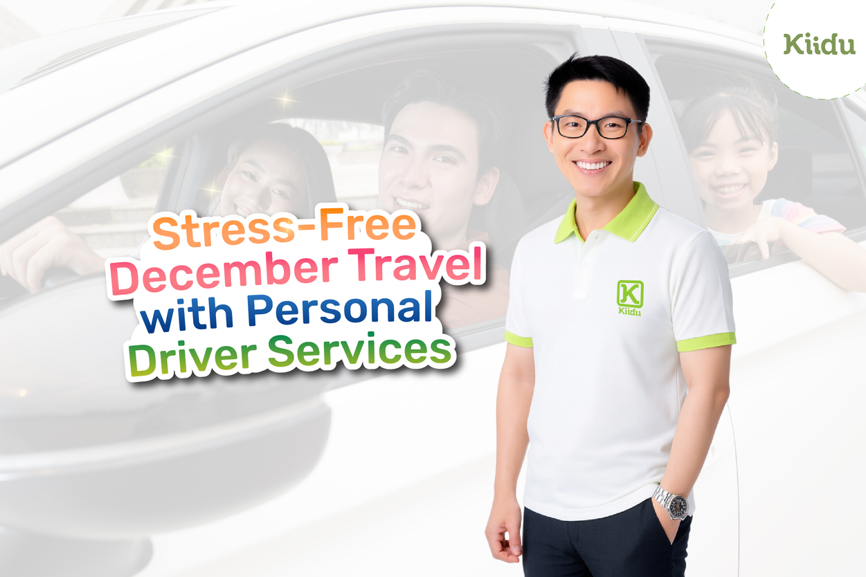 A personal driver removes the biggest holiday-season hassles traffic, parking, airport transfers, and tight schedules so you can focus on enjoying December.